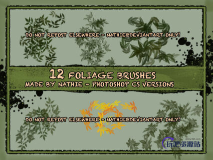 12种春天的树叶、叶子效果PS笔刷下载-玩吧资源站