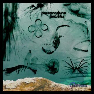 深海造影图形、海洋生物PS笔刷下载-玩吧资源站