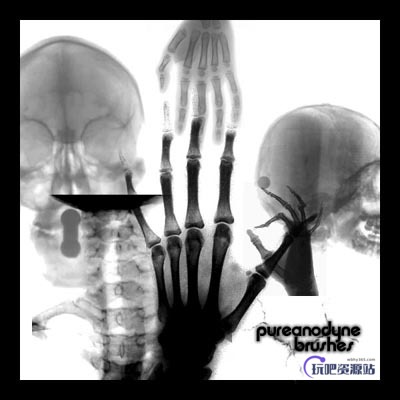人体X光片效果、骨骼透视PS笔刷下载