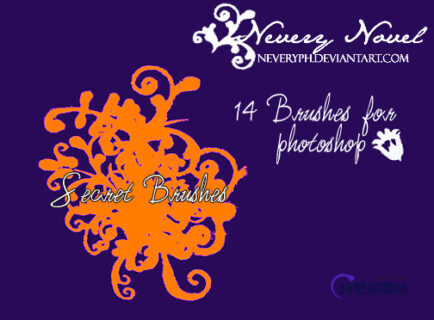 14种欧式复古印花图案PS植物印花笔刷-玩吧资源站