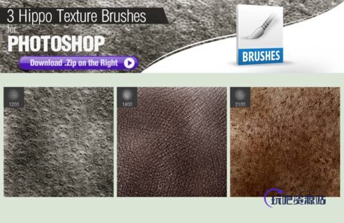 3种动物皮肤、河马皮肤纹理PS皮肤材质笔刷-玩吧资源站