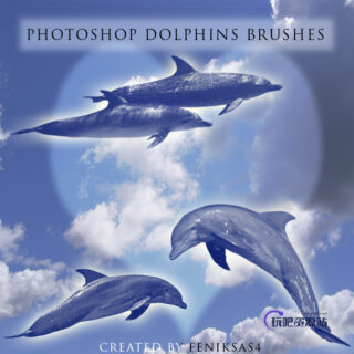 海豚生物PS笔刷下载-玩吧资源站
