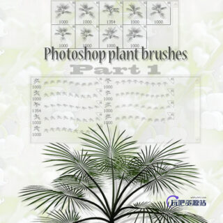 photoshop植物松针叶笔刷素材-玩吧资源站
