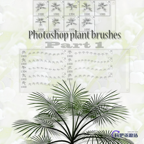 photoshop植物松针叶笔刷素材
