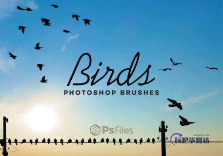 大雁、鸟群、高空飞鸟PS鸟笔刷素材-玩吧资源站