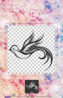 手绘绚丽的飞鸟图形PS笔刷素材-玩吧资源站