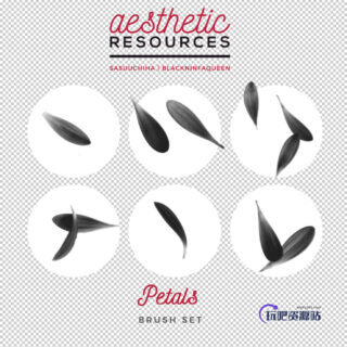 鲜花花瓣图形PS笔刷下载-玩吧资源站