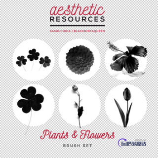 植物鲜花花朵图形PS笔刷素材-玩吧资源站