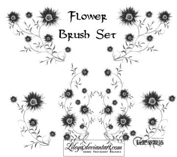 鲜花式植物印花图案PS笔刷免费下载-玩吧资源站