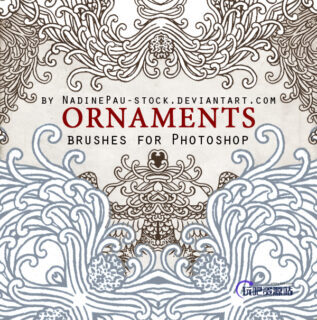 波涛式手绘古典印花图案PS装饰花纹笔刷-玩吧资源站