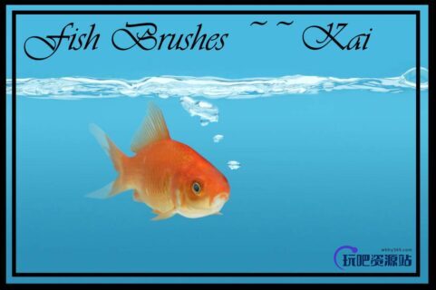 水中的金鱼、鱼缸中的小鱼PS笔刷下载-玩吧资源站