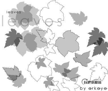 枫树叶、枫叶、树叶、叶子PS笔刷下载-玩吧资源站