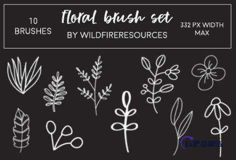 10 手绘植物绿叶枝条印花图案PS笔刷下载-玩吧资源站