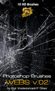 10种高清蜘蛛丝网、蛛网、丝网图案PS笔刷素材下载-玩吧资源站