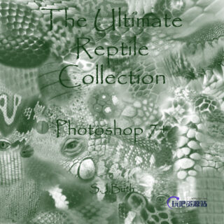 爬行动物的鳞片纹理PS笔刷素材-玩吧资源站