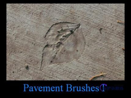 树叶、叶片化石图案PS笔刷下载-玩吧资源站