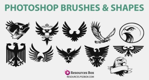 老鹰徽章、白头鹰图案PS笔刷素材下载-玩吧资源站