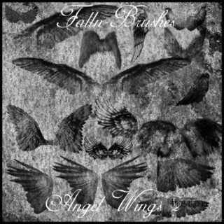 残酷的天使翅膀、羽翼天使PS笔刷下载-玩吧资源站