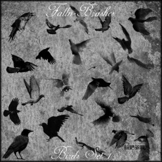 飞翔的鸟类图案、飞鸟图像PS笔刷下载-玩吧资源站