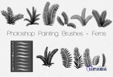 蕨类植物叶子图案PS高清笔刷素材-玩吧资源站