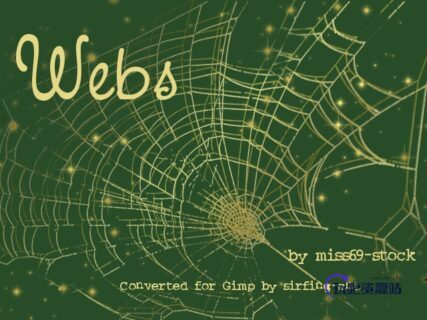 蜘蛛网图案素材GBR格式笔刷下载（GIMP笔刷素材）-玩吧资源站