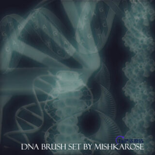 DNA 模型素材PS笔刷下载-玩吧资源站