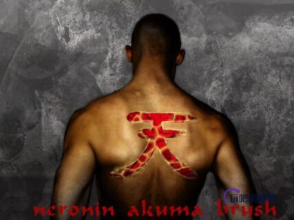 天字符号图案PS笔刷下载-玩吧资源站