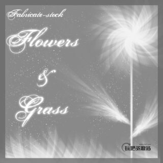 光影叠影花纹、花朵图案PS笔刷素材-玩吧资源站