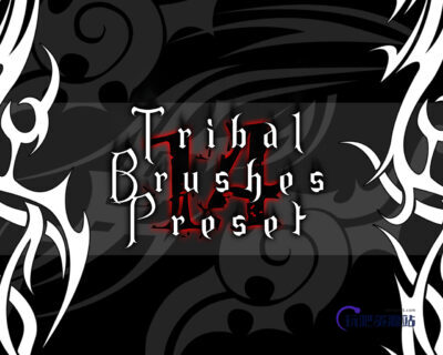 14种酷酷的邪恶纹身、魔鬼纹饰图案PS笔刷下载-玩吧资源站