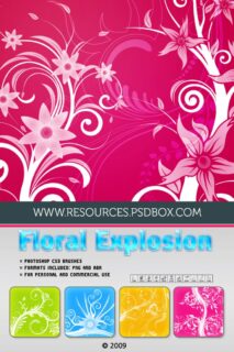 漂亮精美的植物艺术系花纹、印花图案PS笔刷素材-玩吧资源站