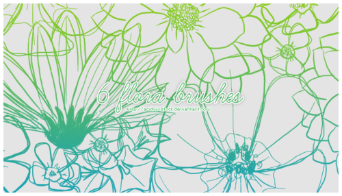 6个手绘线条式鲜花图案PS笔刷素材-玩吧资源站