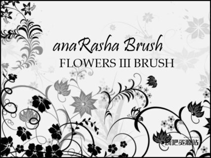 漂亮的植物鲜花花纹图案、贵族藤蔓式印花PS笔刷-玩吧资源站