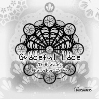 漂亮的蕾丝印花图案PS花纹笔刷-玩吧资源站