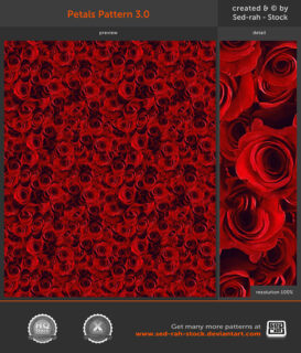 漂亮的玫瑰花花朵背景纹理PS填充素材材质下载-玩吧资源站