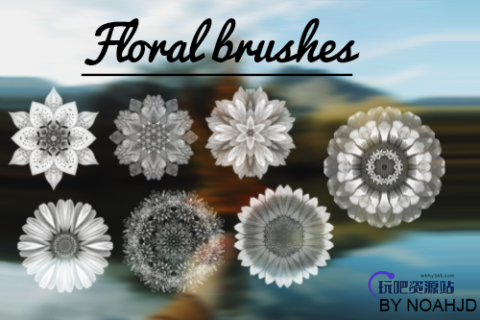 漂亮的分形旋转对称式花纹图案PS笔刷素材下载-玩吧资源站