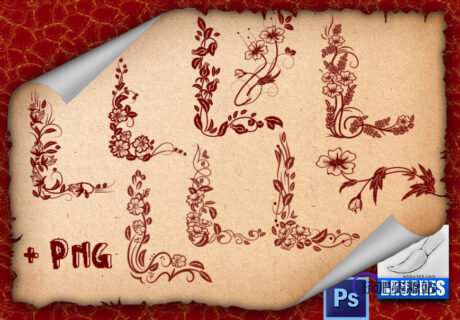 精美的边角式植物花纹图案PS笔刷下载-玩吧资源站