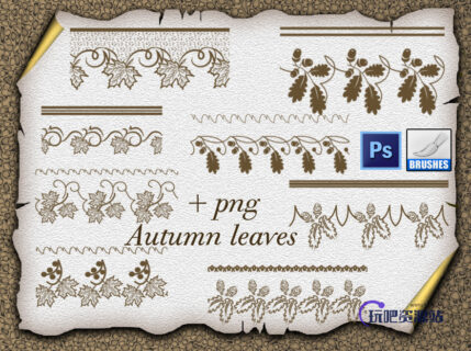 圣诞节植物叶子装饰边纹PS印花笔刷-玩吧资源站