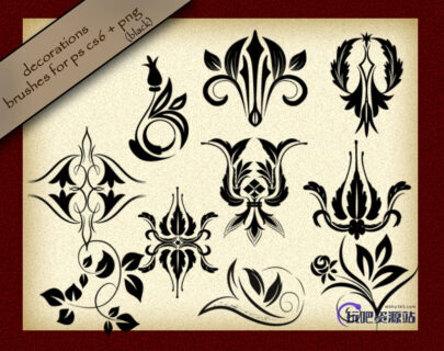 精美的经典植物印花图案饰品PS笔刷素材（PNG透明格式）-玩吧资源站