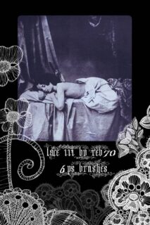 6种刺绣式印花、植物花纹图案Photoshop笔刷素材-玩吧资源站