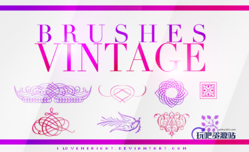 精美秀气的线条花纹艺术PS笔刷下载-玩吧资源站