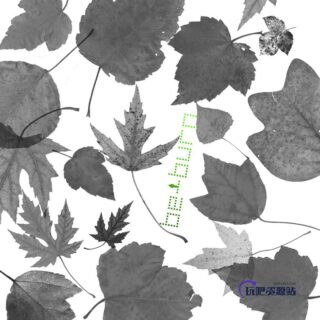 真实的枫叶、落叶、树叶、梧桐叶等PS叶子笔刷素材-玩吧资源站