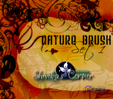 手绘混乱艺术植物印花PS笔刷素材下载-玩吧资源站