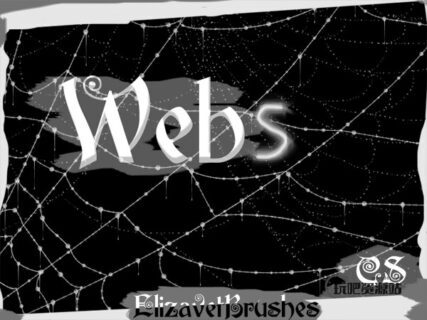 蛛网、蜘蛛网效果PS笔刷素材下载-玩吧资源站