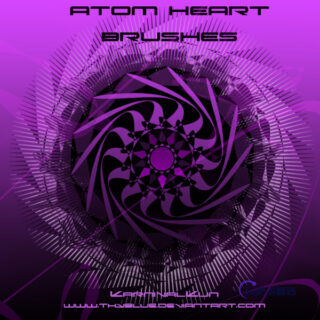 旋转对称式印花图案Photoshop花纹笔刷-玩吧资源站