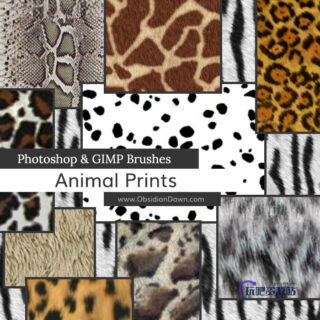 动物皮毛、斑纹斑点纹理、豹纹毛发Photoshop笔刷纹理素材-玩吧资源站