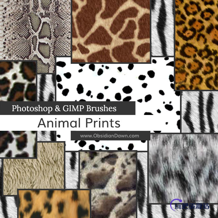动物皮毛、斑纹斑点纹理、豹纹毛发Photoshop笔刷纹理素材