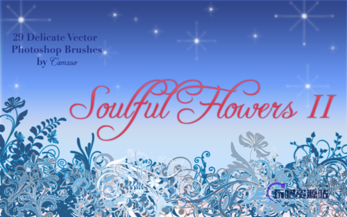 29种植物印花图案风格PS笔刷下载-玩吧资源站