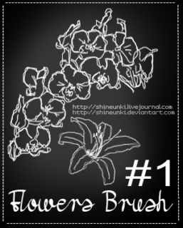手绘素描风格的花朵线框图形PS笔刷印花笔刷-玩吧资源站