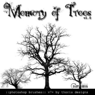 大树、枯树、魔鬼树、冬季大树Photoshop树木笔刷-玩吧资源站