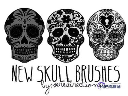 花式骷髅头花纹图案Photoshop恐怖艺术笔刷-玩吧资源站
